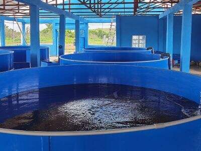 Landgestütztes Aquakultursystem: Ein integrierter Ansatz für die Indoor-Aquakultur
