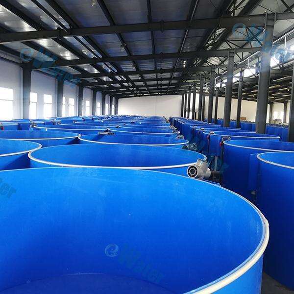 Tilapia Hatchery: Service and Quality Standards