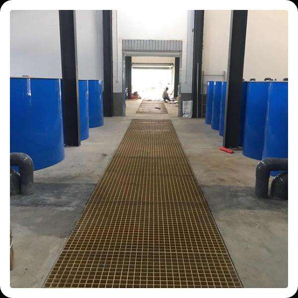 Innovative Technology in Aquaculture