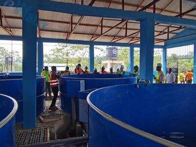 How Oxygen Generators Enhance RAS Tank Efficiency