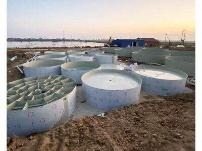 Aquaponics Water Filtration and Nutrient Recycling Technology