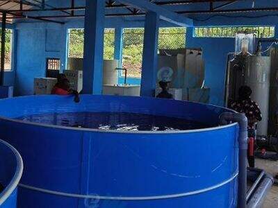 魚の養殖機械が現代の水産養殖施設をどのように変革しているか