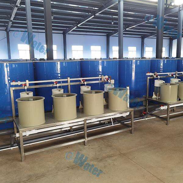 How Oxygen Machines Can Boost Fish Production in Aquaculture