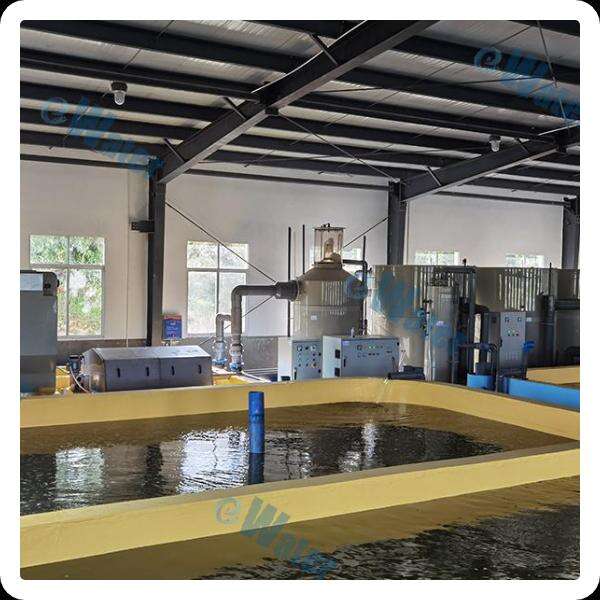 L'avenir de l'élevage durable de poissons avec des systèmes d'aquaculture en récirculation
