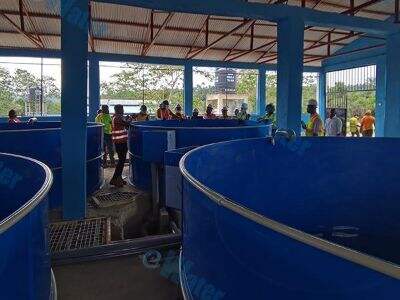 IoT-figyelőrendszerekkel integrált akvaponikus rendszerek