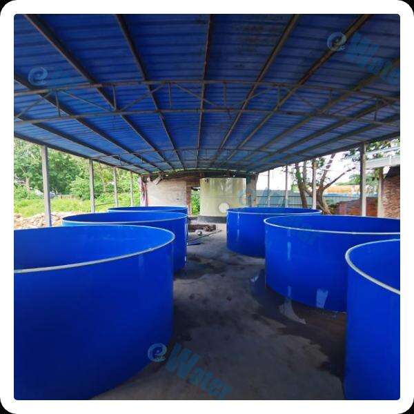 Exploring the Benefits of Drum Filter Aquaculture Fish Farming