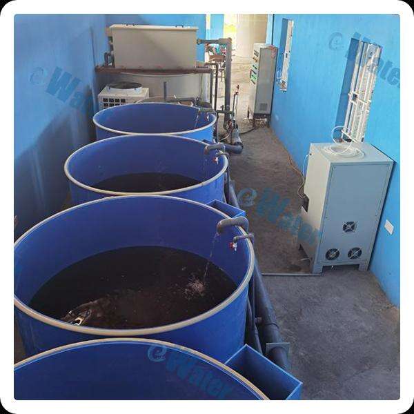 Use of Recycling Aquaculture System