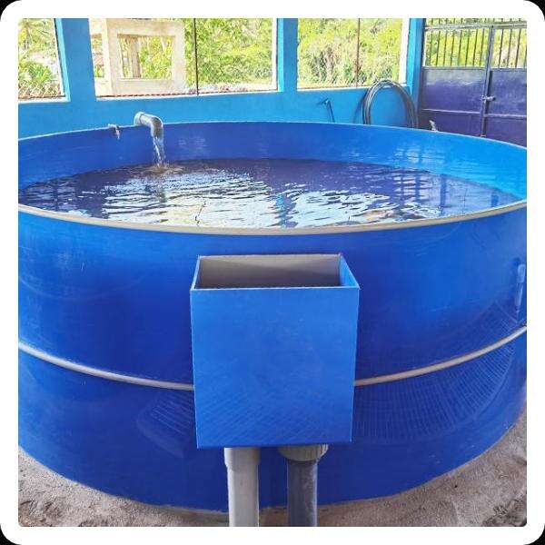 The sustainability benefits of utilizing oxygen generation systems