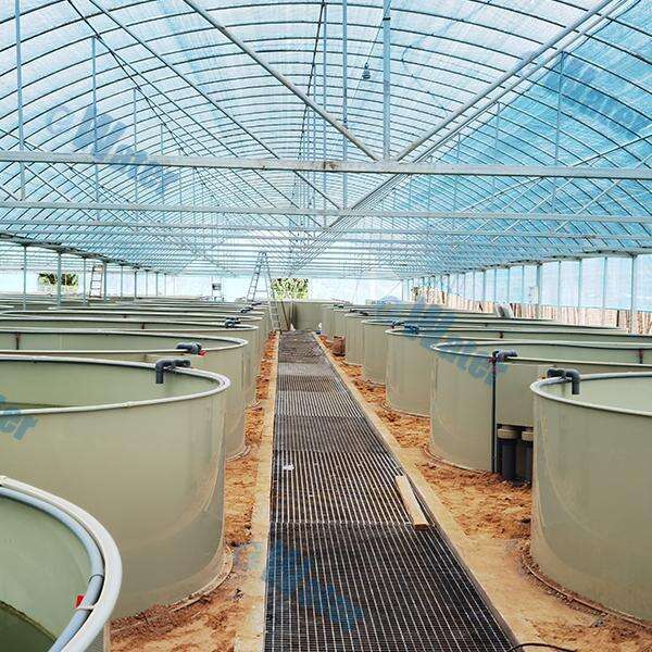 Avantages environnementaux de la RAS par rapport aux méthodes traditionnelles d'aquaculture