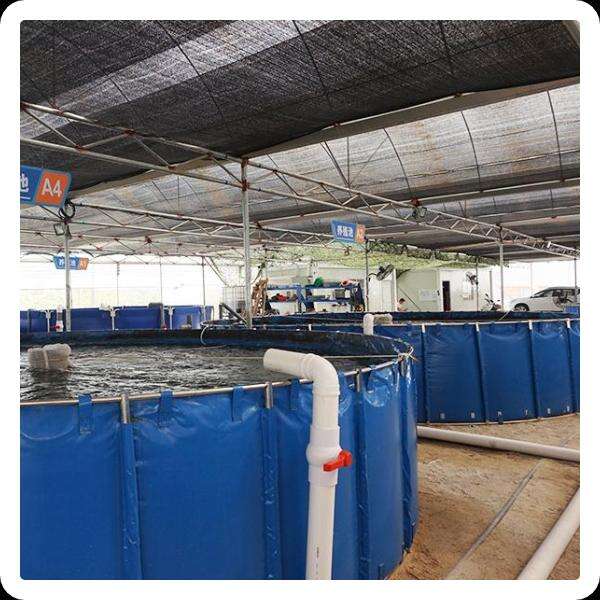 Mud Crab Farming Systems; Innovations