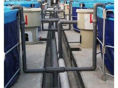 How Automation and Data Analytics Are Shaping the Future of Aquaculture?