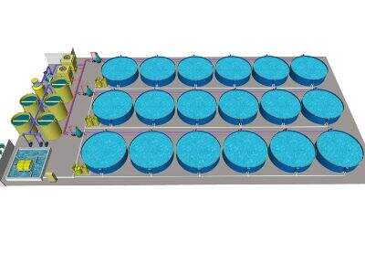Why Stable Dissolved Oxygen Levels Are Crucial for Aquaculture