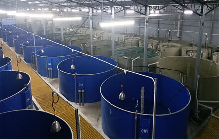 RAS Projekt recirkulirajućeg sustava akvakulture