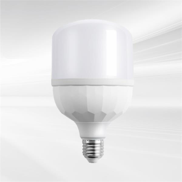 Long-Lasting Illumination with the 60 Watt Bulb