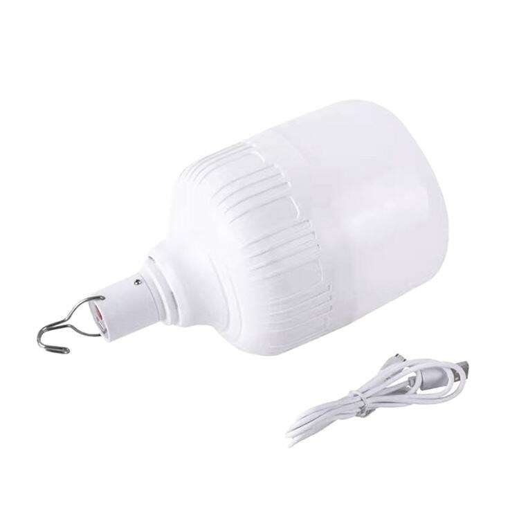 Emergency Bulb