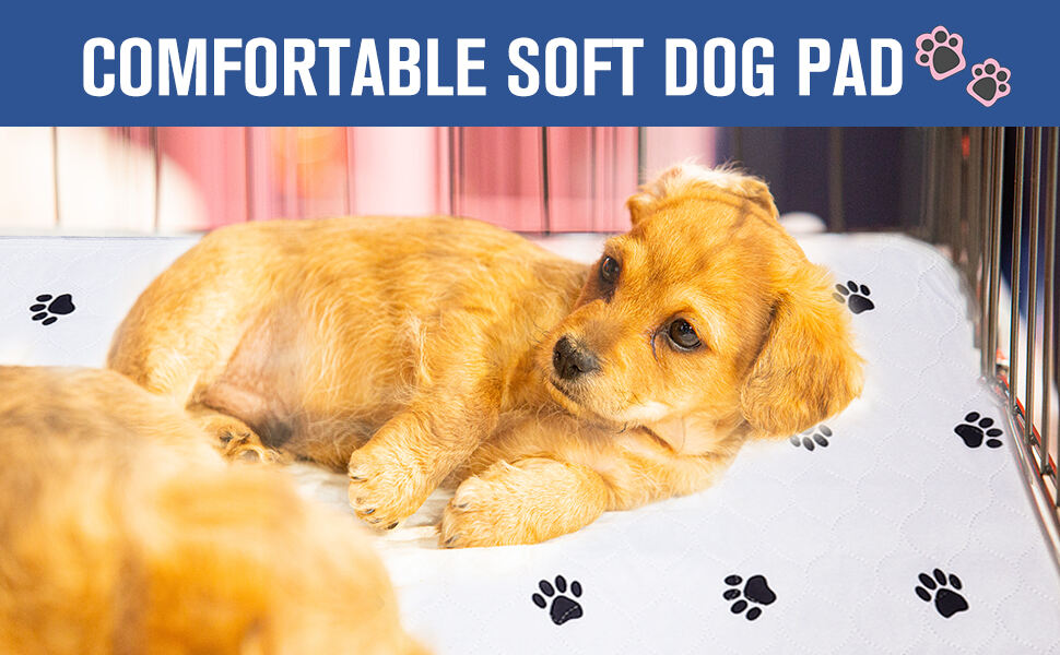 Washable Puppy Pads supplier