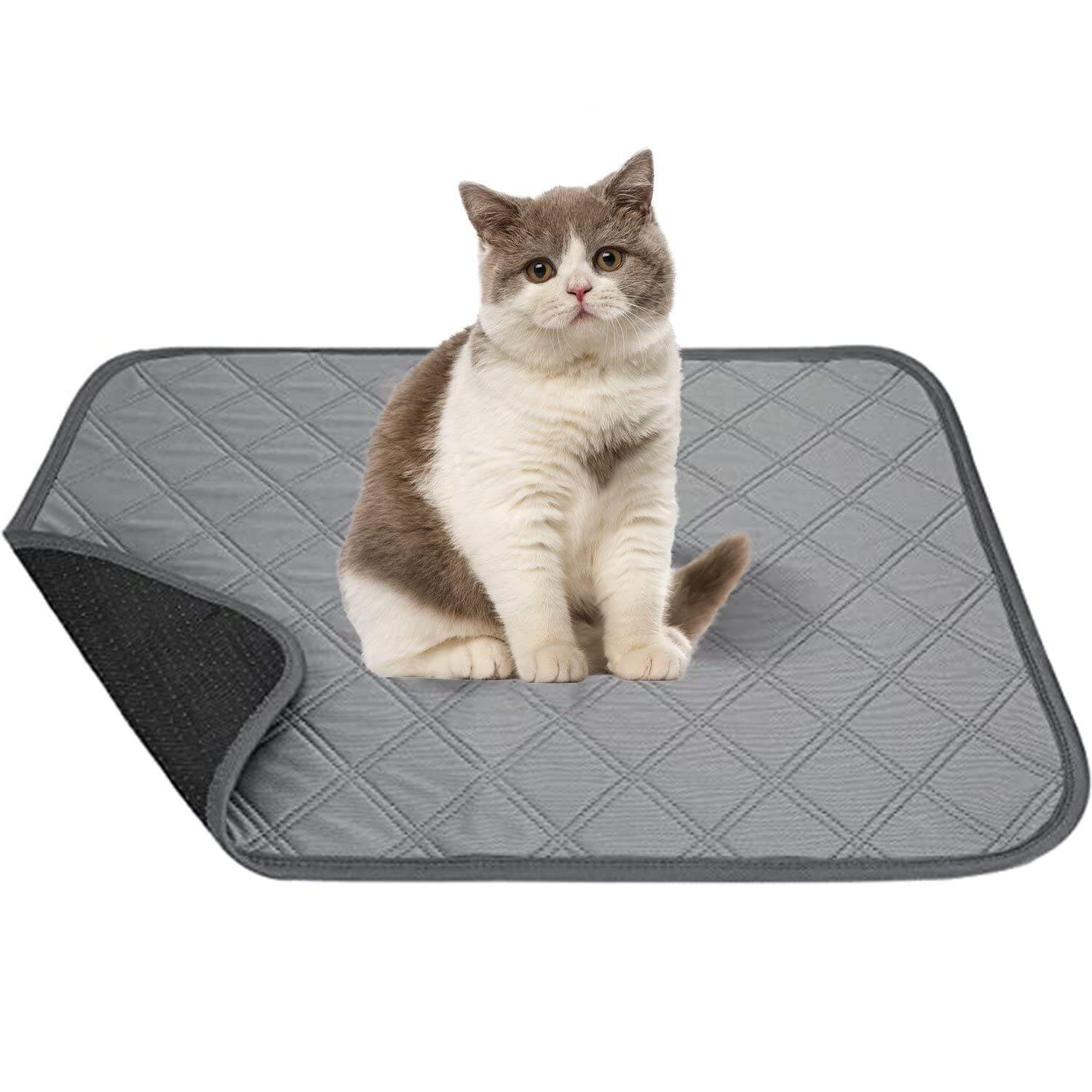 Reusable Fast Absorbing Pet Urine Pee Pad manufacture