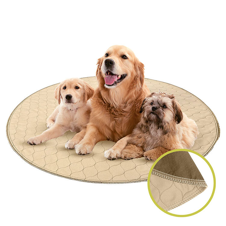 Home Puppy Training Pad supplier