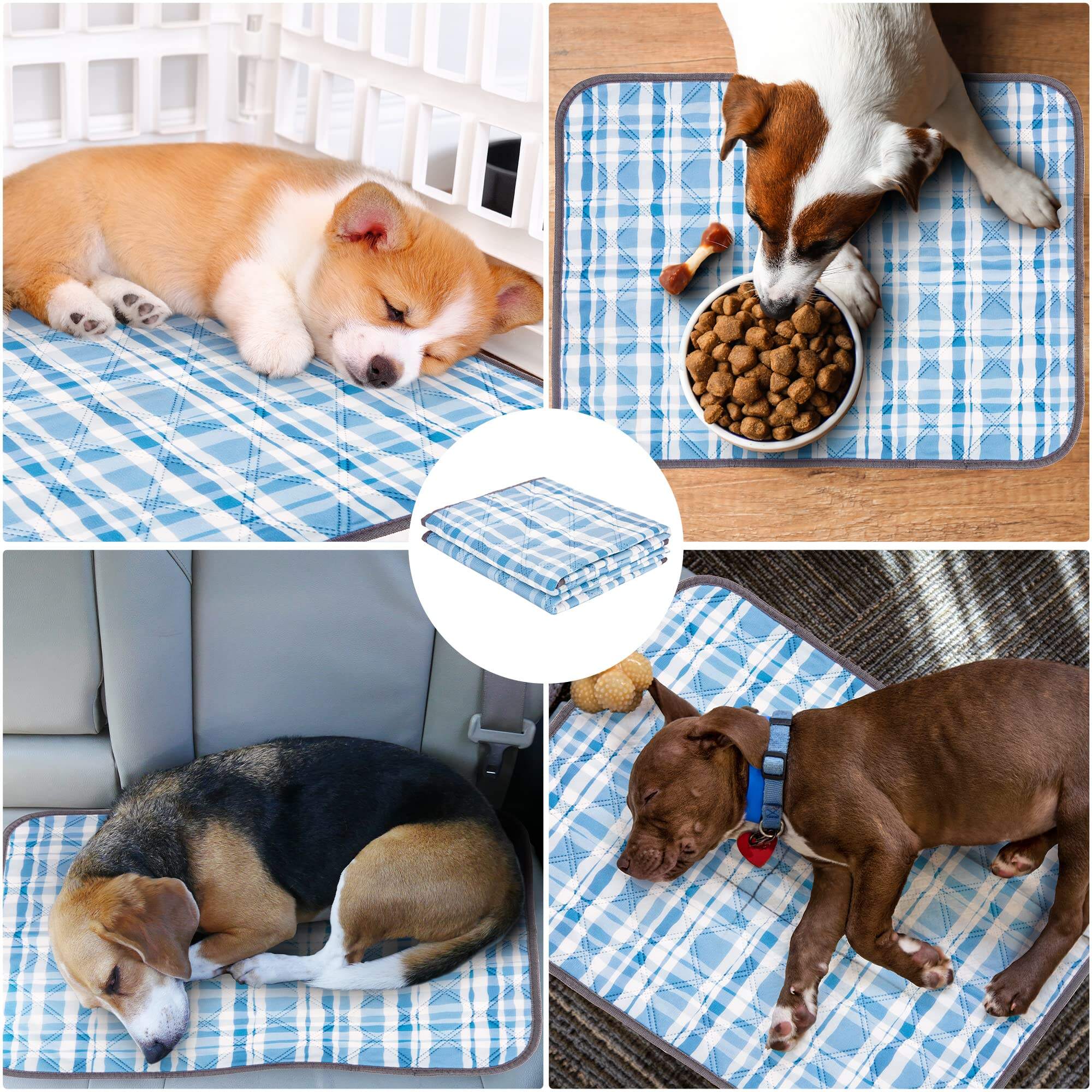 Puppy Training Mats supplier