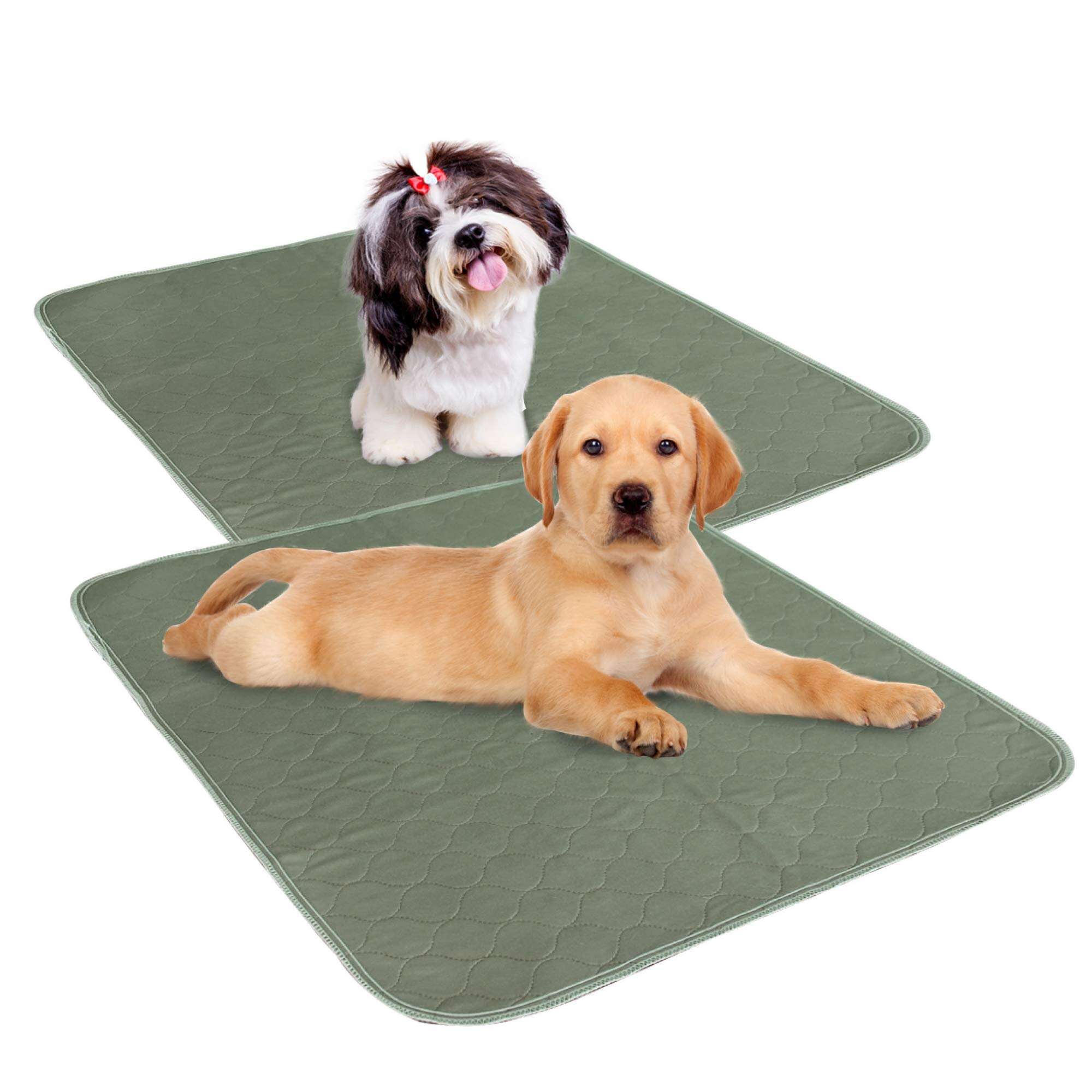 Reusable Absorbent Pet Pad details