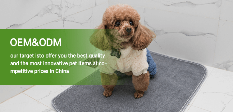 Environment-friendly pet training pads manufacture