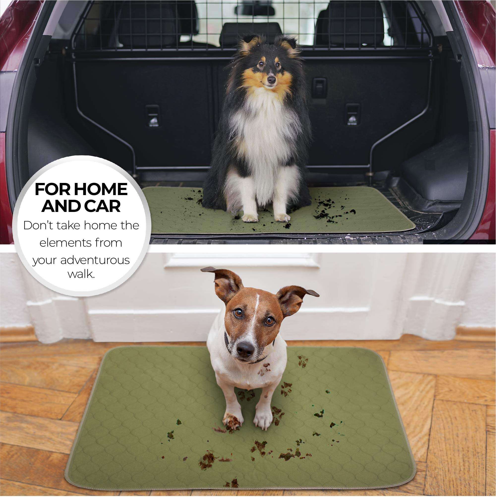 Reusable Absorbent Pet Pad details