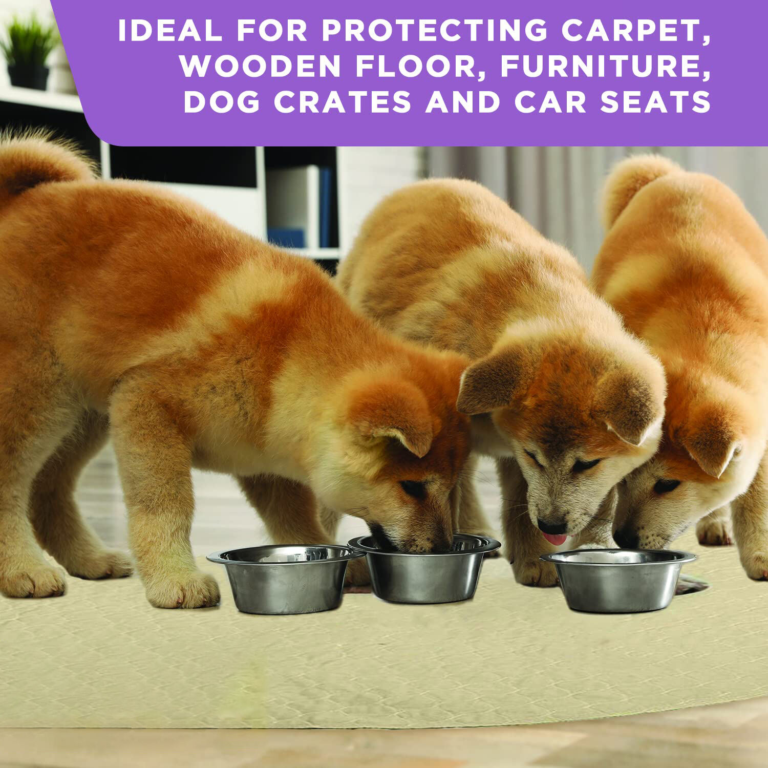 Home Puppy Training Pad supplier