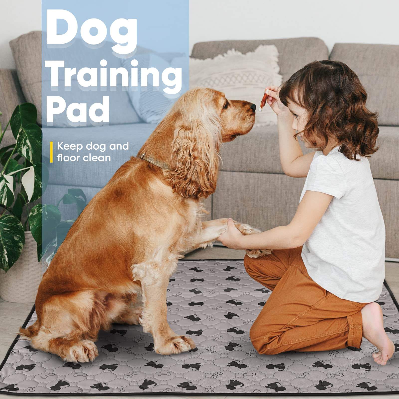 Pet Toilet Training Pads factory