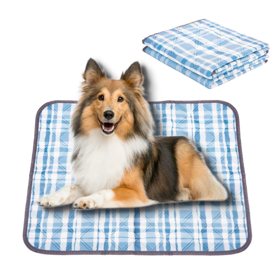 Puppy Training Mats manufacture