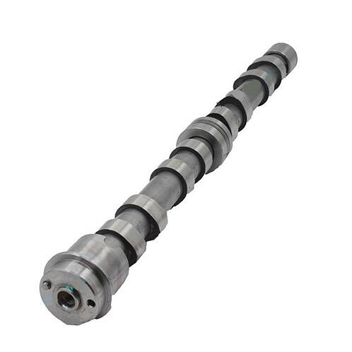 OEM 5802395037 5802395037 for IVECO ENGINE F1CE0481 F1CE3481 for Iveco Daily 3.0L Camshaft