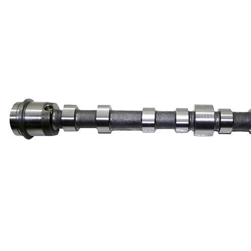 OEM 504246093 502270043 for IVECO ENGINE F1CE0481 F1CE3481 for Iveco Daily 3.0L Camshaft