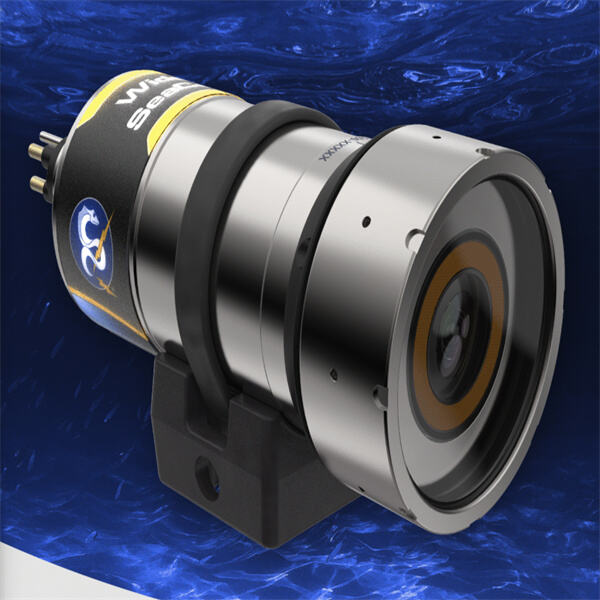 Shed light on the unseen world below with our powerful deepsea camera.