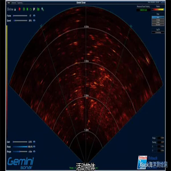 Vantaggi dell'Uso del Sonar a Scan Side per le Indagini Subacquee