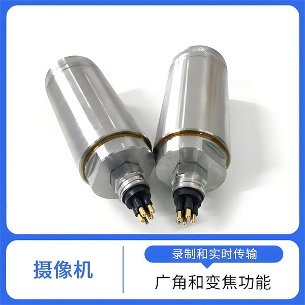 Capture close-up footage of elusive marine creatures with our advanced 1080p camera.