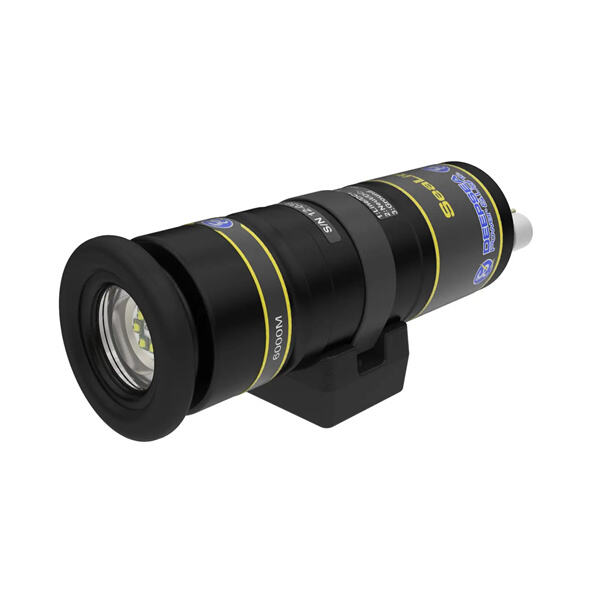 Beobachten Sie das Leben des Meeres, das durch Tiefseeleuchten zum Leben erwacht