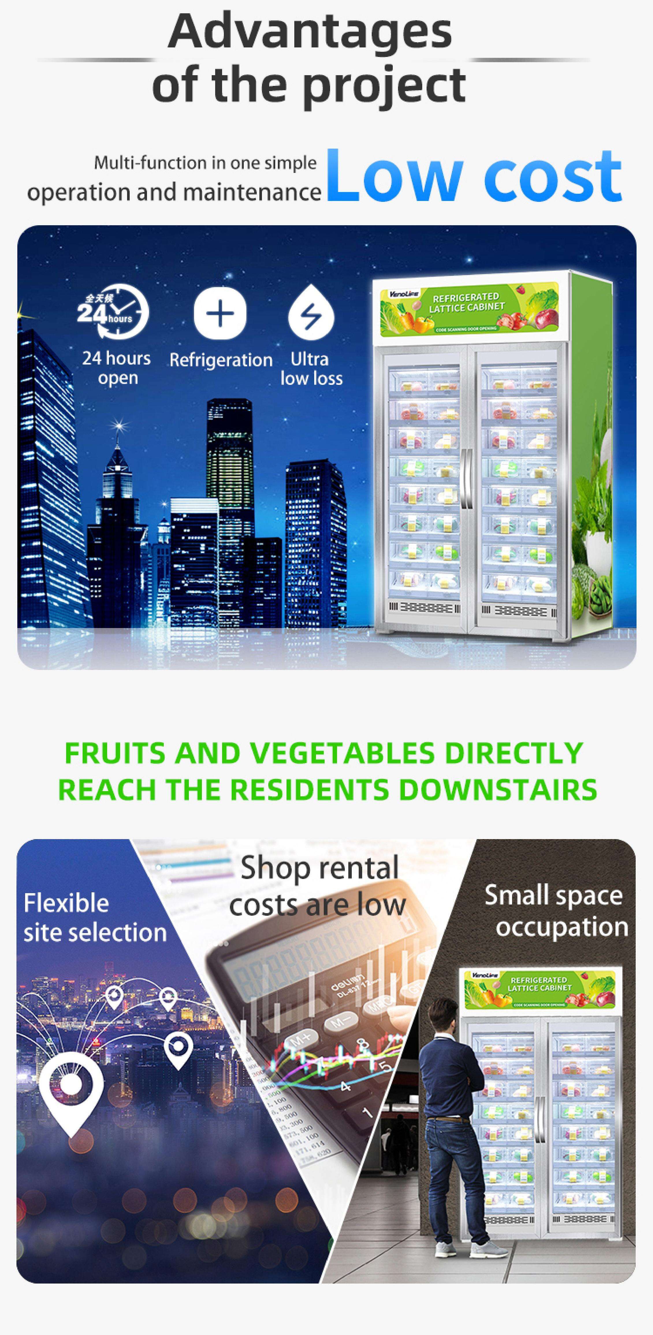 Vendlife 24/7 self-service food fresh fruit vegetable egg milk meat smart fridge freezer weight vending machine for sale supplier