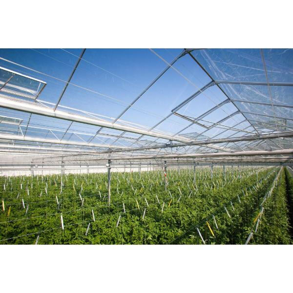 Designing a Steel Stud Greenhouse for Optimal Growth