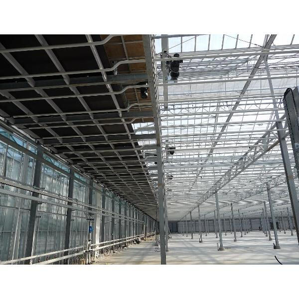 Maximizing Strength and Stability with Galvanized Tubing Greenhouse Frames