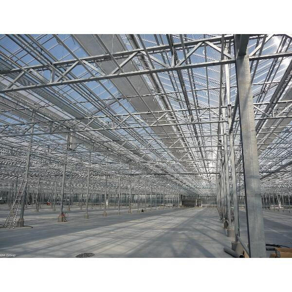 Upgrade your gardening game with our selection of metal frame greenhouses for sale.