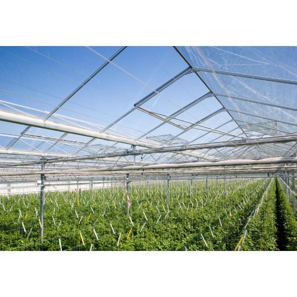 Volhoubare boerderypraktyke met staalstruktuurgrenesshuise