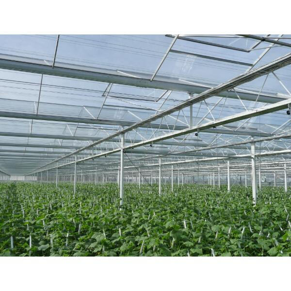 Materijali za gradnju tepijske kuće za zeleniji budućnost