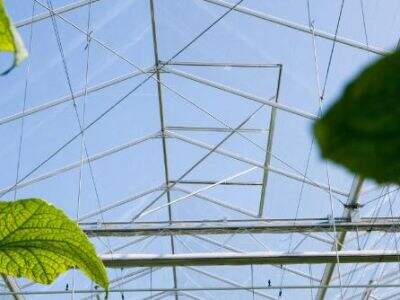 Hệ thống Trồng trọt trong Nhà kính là gì? Những Lợi thế của nó là gì?