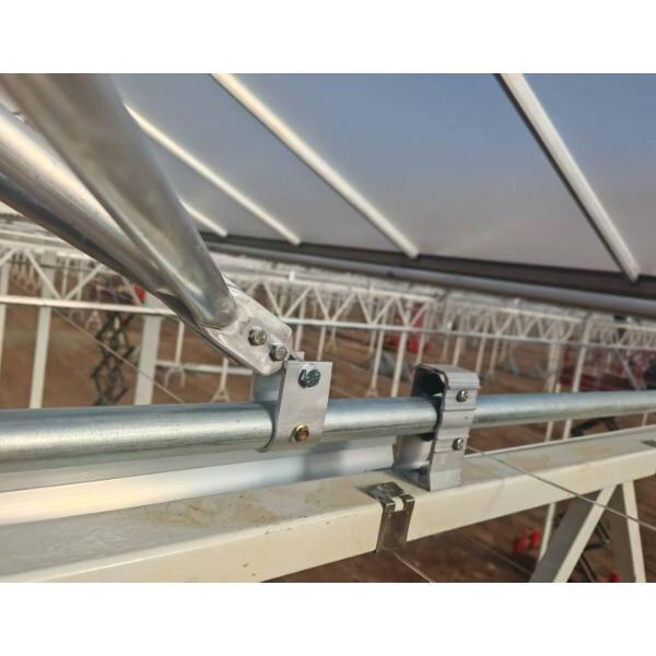 Extend Your Growing Season with an Aluminum Cold Frame Greenhouse