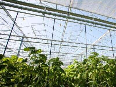 Hoe Verhoog Slaanhuis Telsisteme Opbrengs en Verminder Waterverspilling?