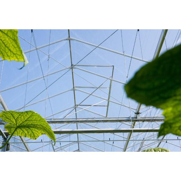 Γιατί τα πλάισια παραθυριών από άλουμινιούχο χαλκοειδές είναι μια βιώσιμη επιλογή για το σπίτι σας