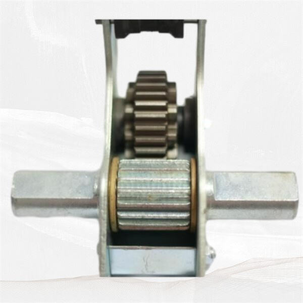 Ontdek die perfekte materiale om jou drome van 'n groentehuis te bou.