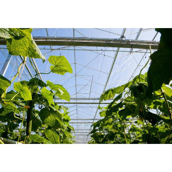 Ang mga benepisyo ng pagkakasama ng mga praktis na sustenible sa paggawa ng greenhouse