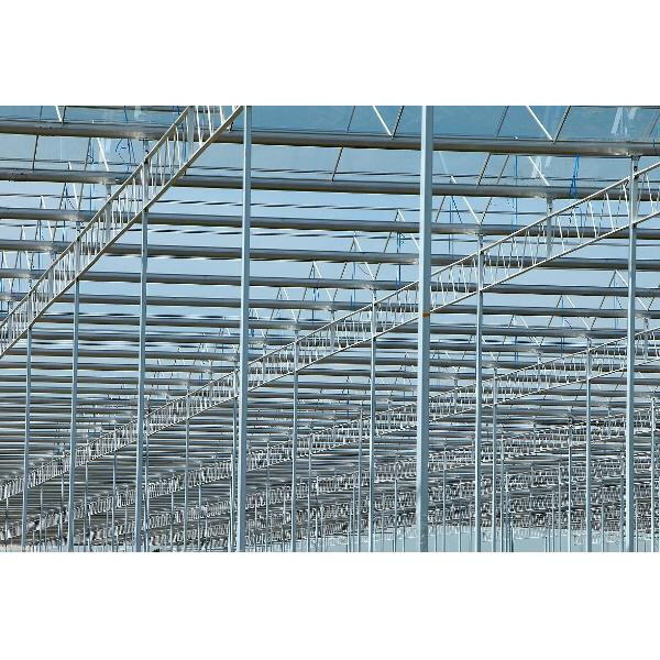 Advice for Maintaining Your Metal Frame Greenhouse Look Good