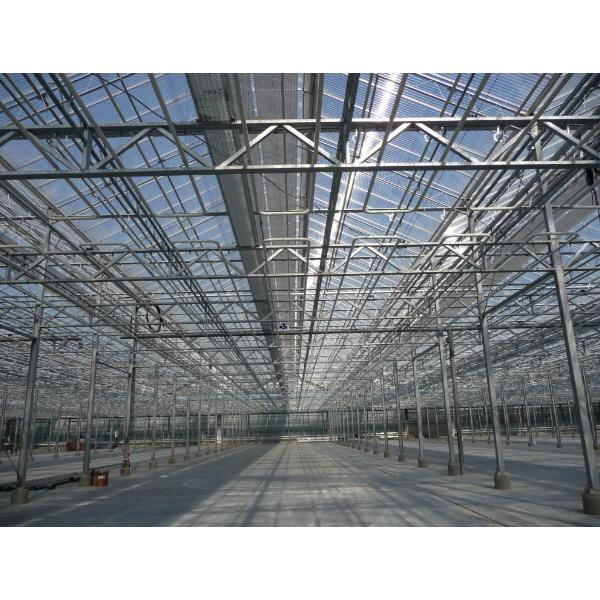 Why Use a Metal Frame Greenhouse?