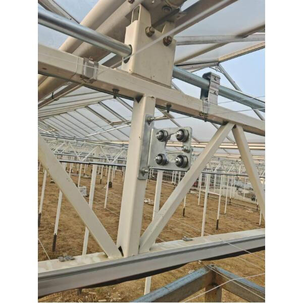 استفد بشكل أقصى من مساحة حديقتك باستخدام إطار زجاجي صغير الحجم مصنوع من الألمنيوم